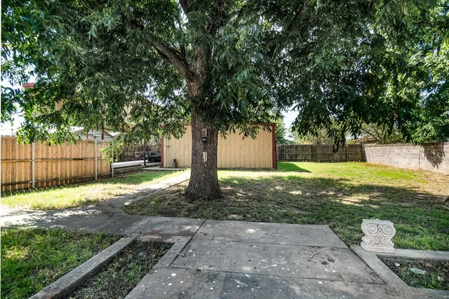 a view of a yard with plants and a trees