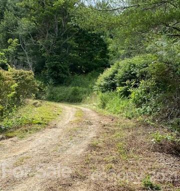 387 Spring Cove Road Waynesville, NC 28786 - Photo 40 of 48 a view of yard with green space