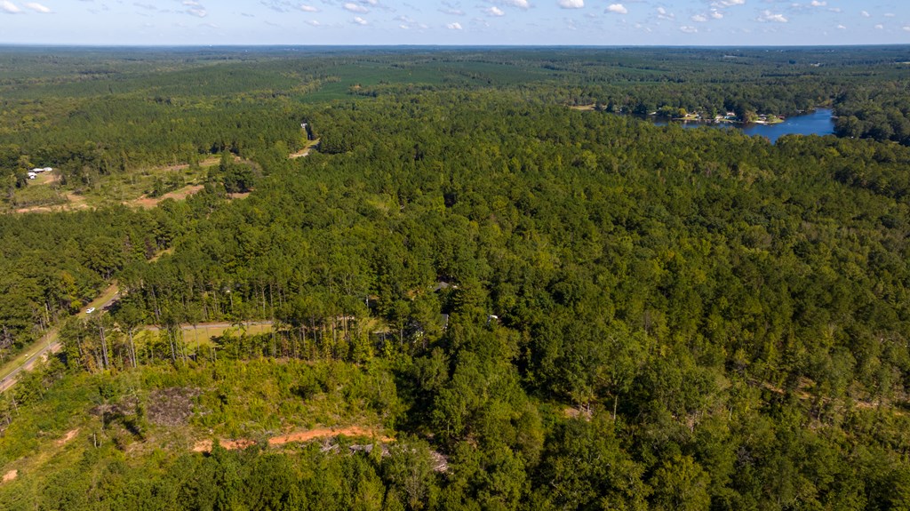 2478 Pine Lake Road West Point, GA 31833 - Photo 25 of 70 Gallery Image 25