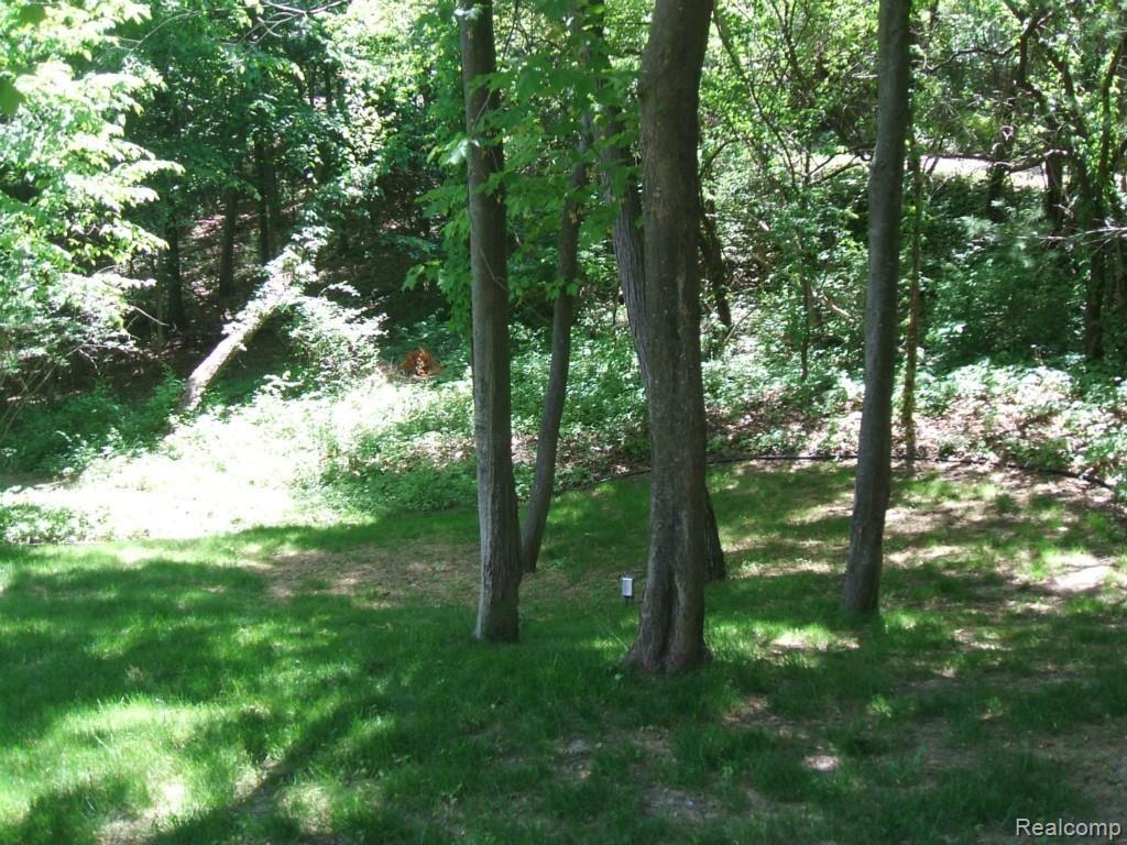 4375 Echo Road Bloomfield Hills, MI 48302 - Photo 38 of 40 Wooded Views