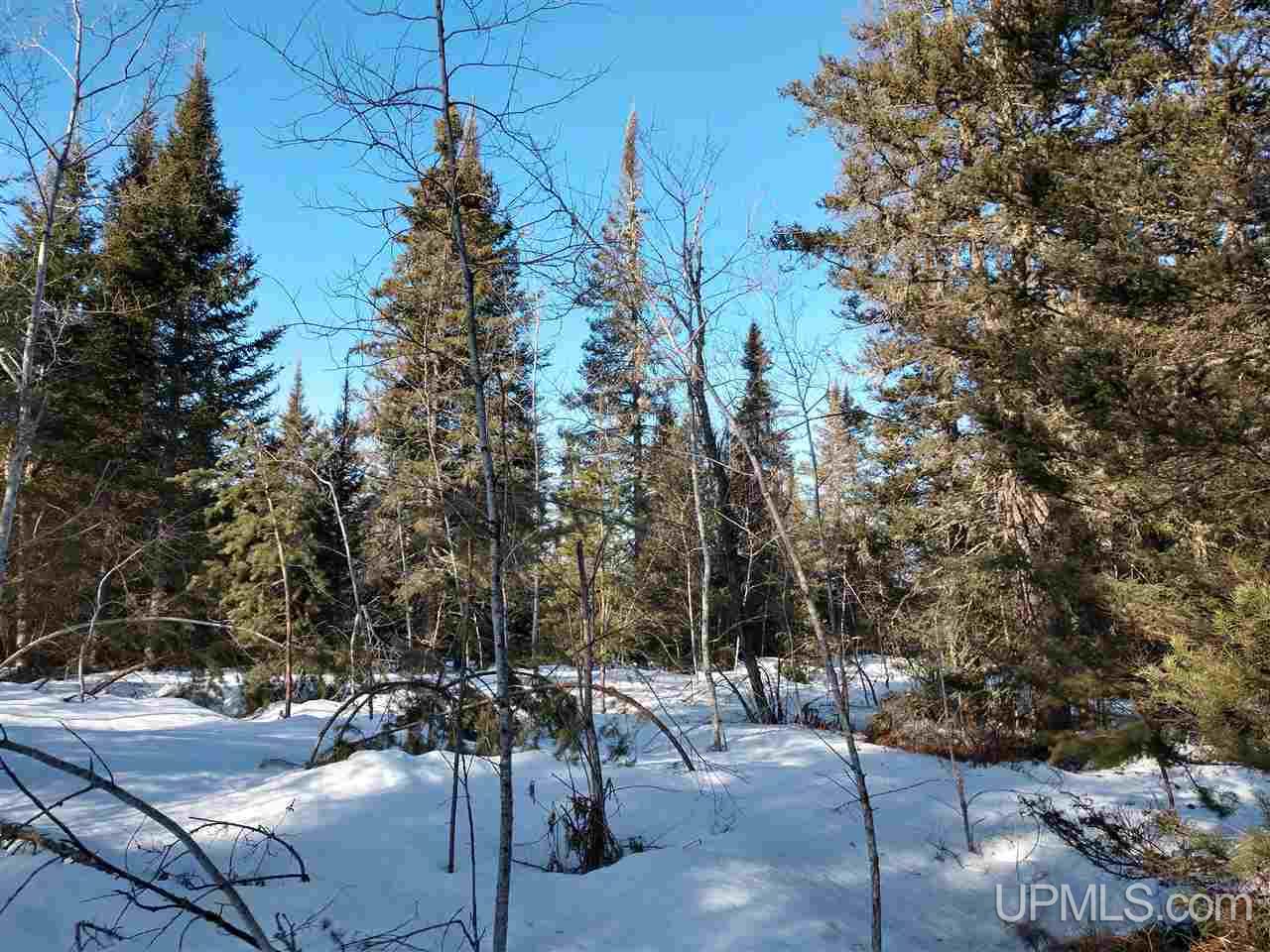 39-acres 39-acres Co Road Ishpeming, MI 49849 - Photo 27 of 39