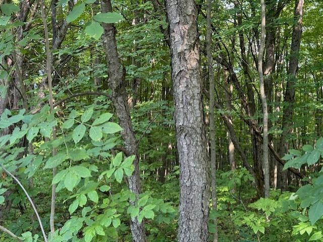 0 West Hill Road Enosburg Falls, VT 05450 - Photo 4 of 7