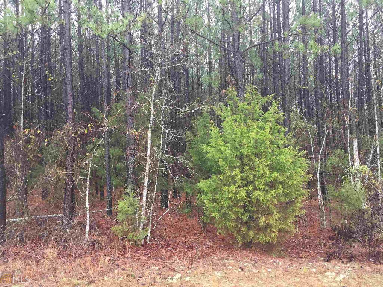 0 Smokey Road LaGrange, GA 30241 - Photo 1 of 1 Gallery Image 1