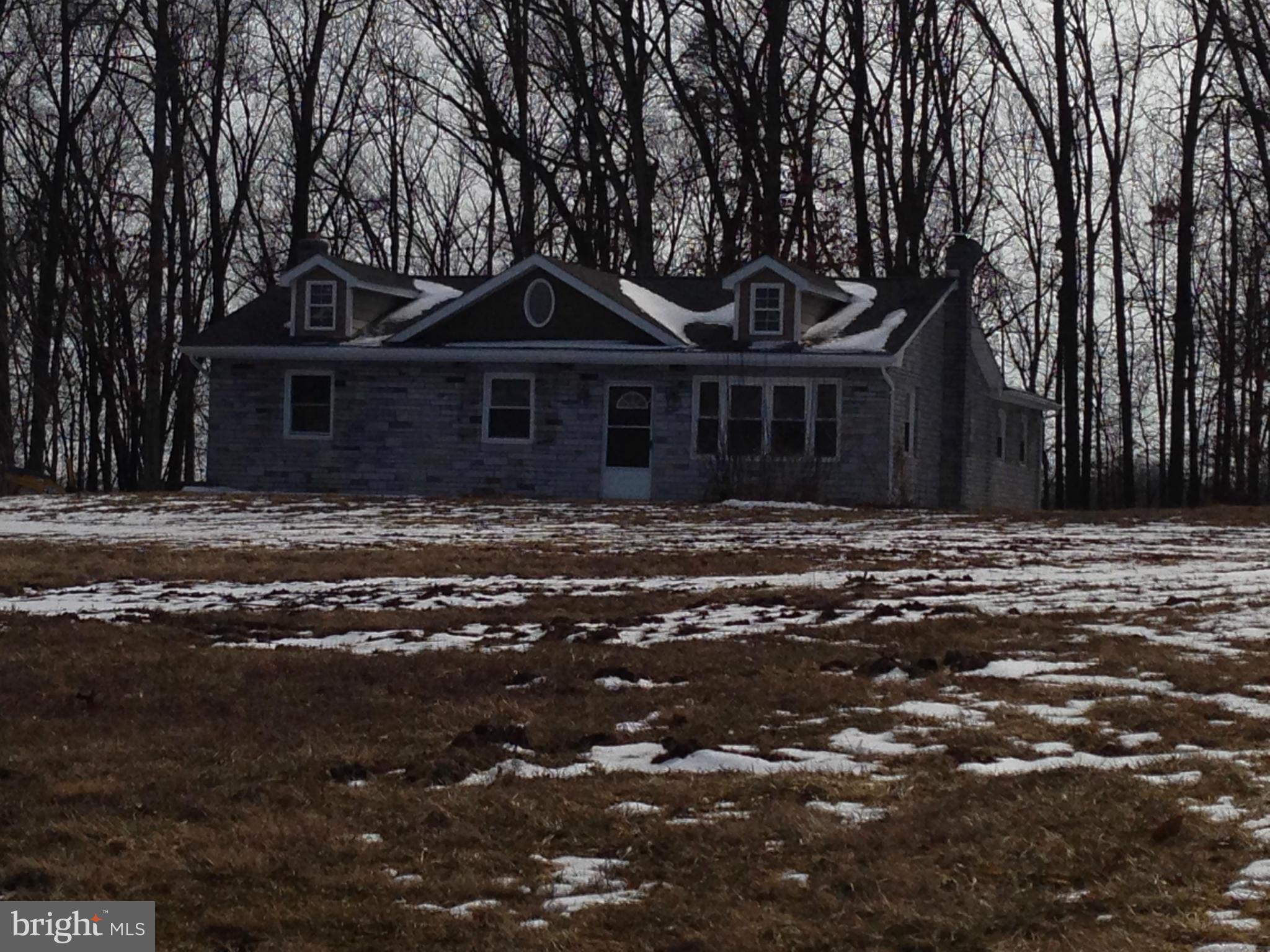 868 Jordan Springs Road Stephenson, VA 22656 - Photo 1 of 30 Home Sits about 3 Acres off the Road