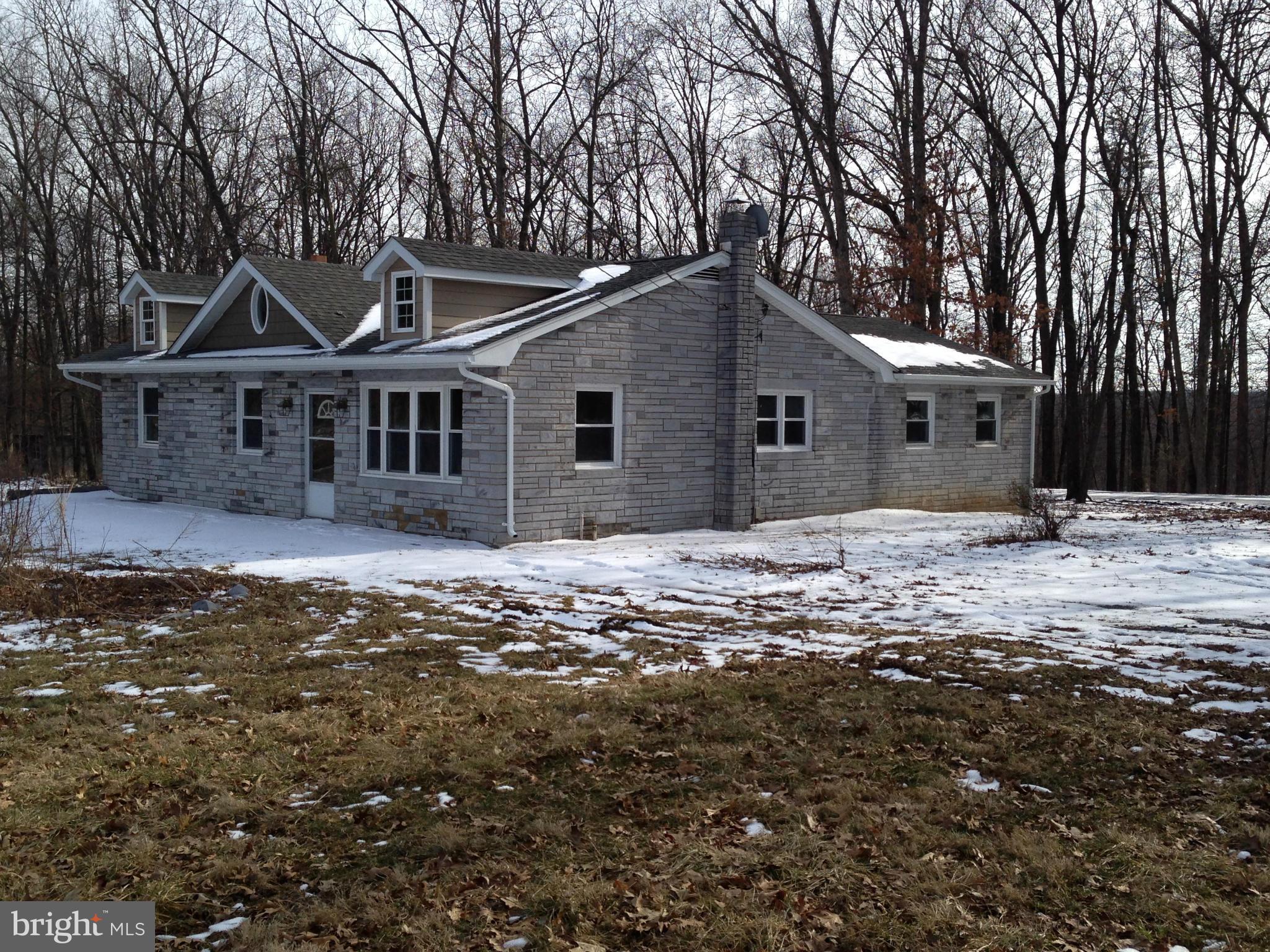 868 Jordan Springs Road Stephenson, VA 22656 - Photo 2 of 30 Large Than You Think