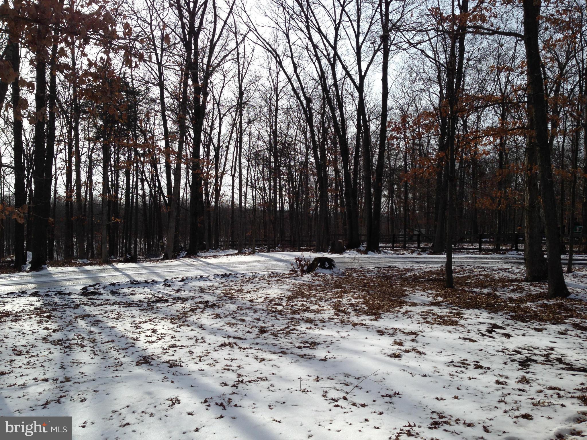 868 Jordan Springs Road Stephenson, VA 22656 - Photo 5 of 30 View From Rear of Home
