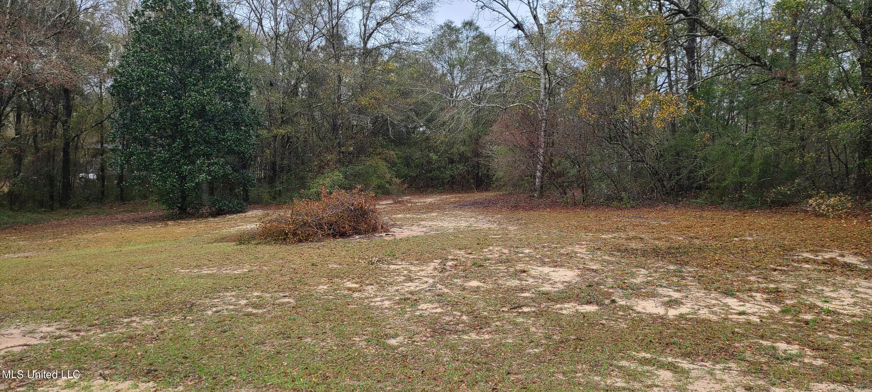 Finch Road Lucedale, MS 39452 - Photo 1 of 1 1.7 acres+/-