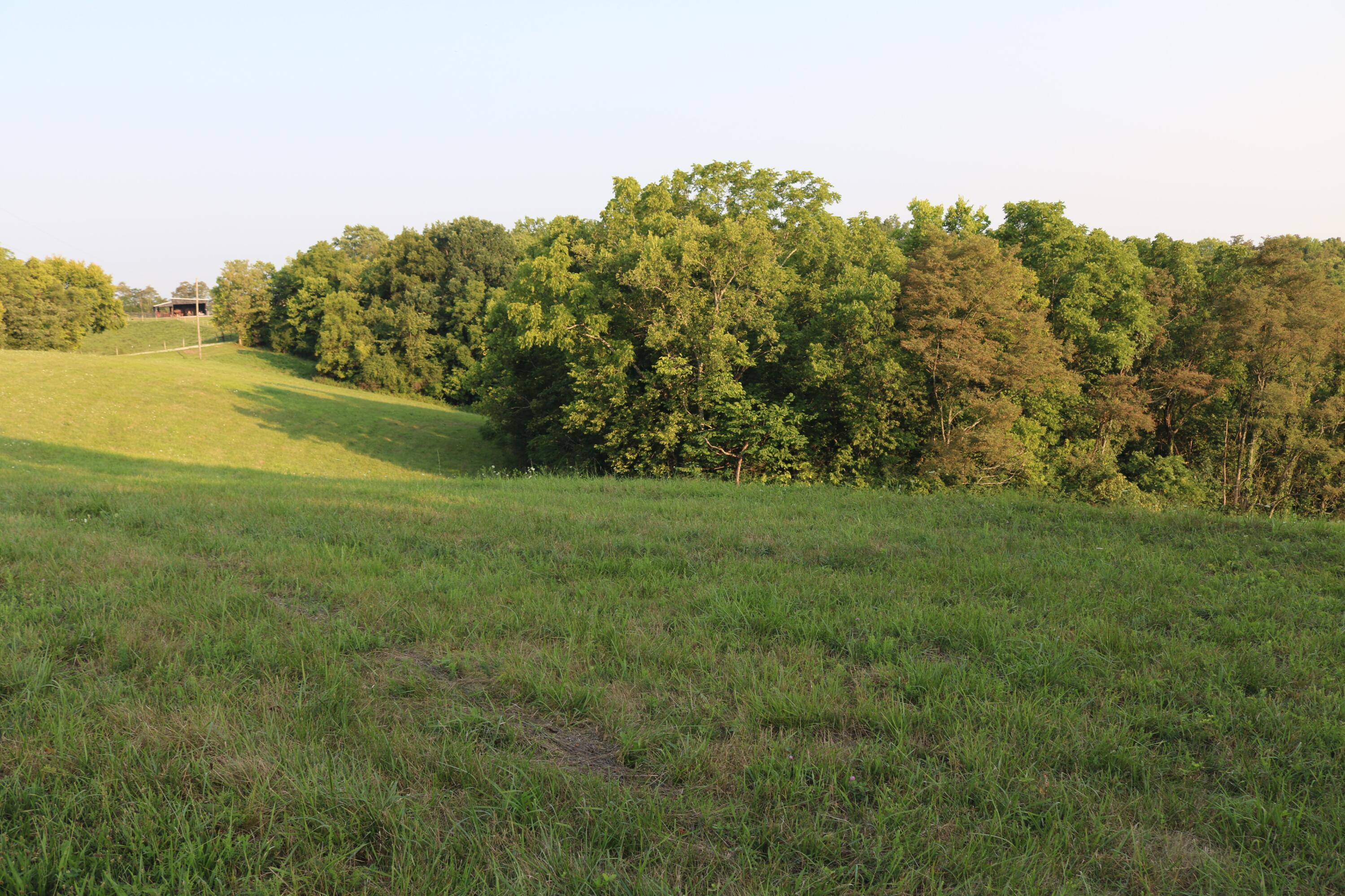 280 Saltwell Road Carlisle, KY 40311 - Photo 46 of 47 IMG_7065