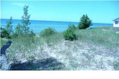 West Juniper Beach Road Mears, MI 49436 - Photo 1 of 7 Primary Photo