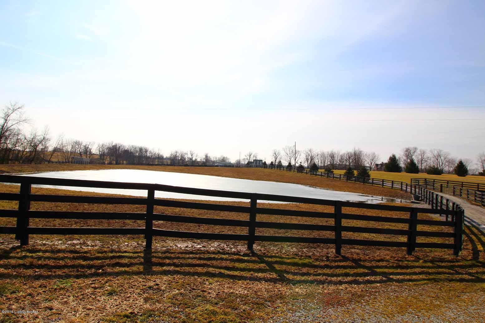 489 Locust Grove Road Shelbyville, KY 40065 - Photo 51 of 56 Paddock and Pond