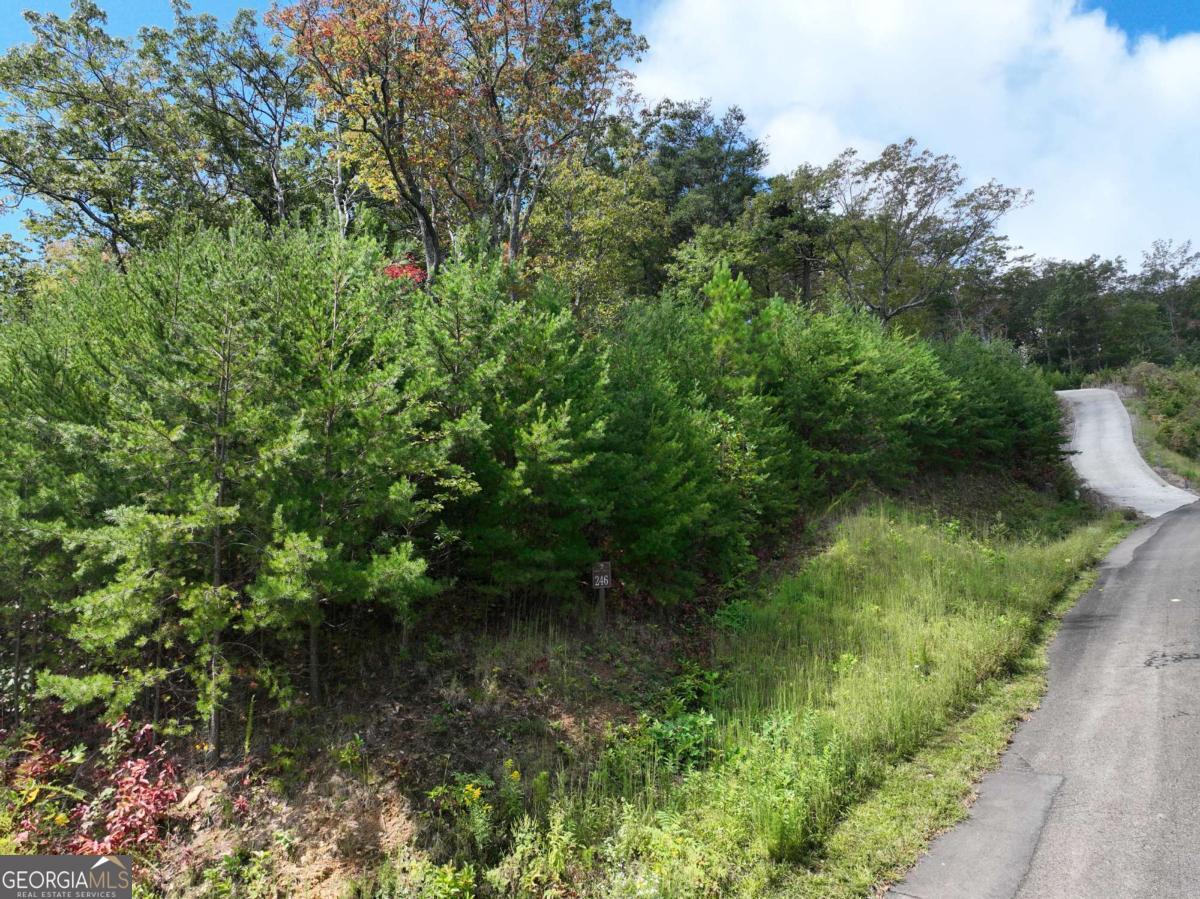 246 Andes Ridge Jasper, GA 30143 - Photo 17 of 36