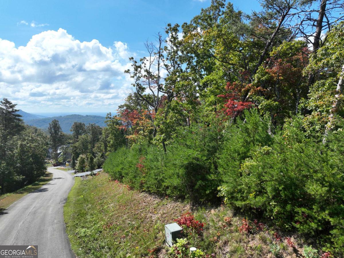 246 Andes Ridge Jasper, GA 30143 - Photo 22 of 36