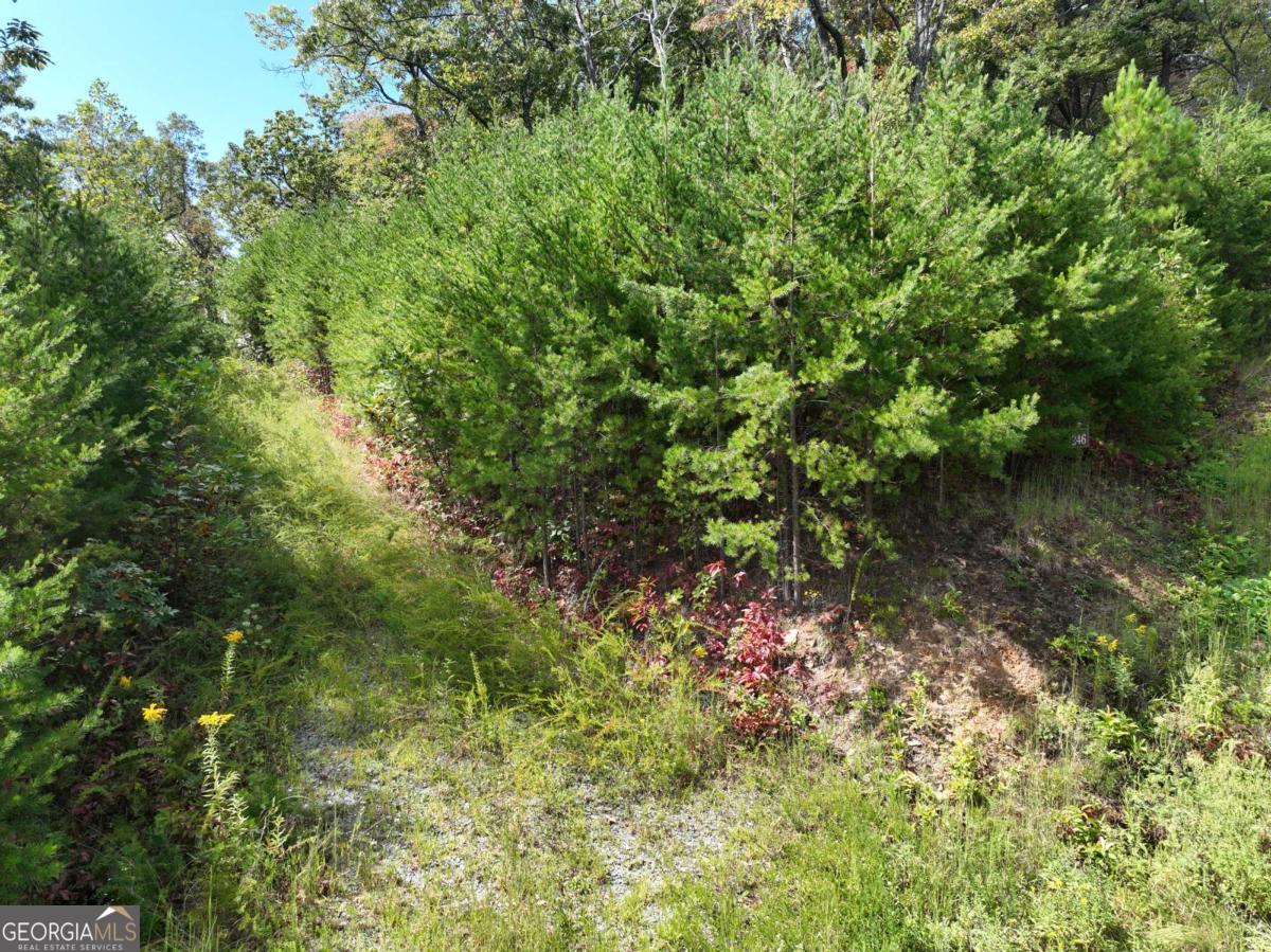 246 Andes Ridge Jasper, GA 30143 - Photo 23 of 36