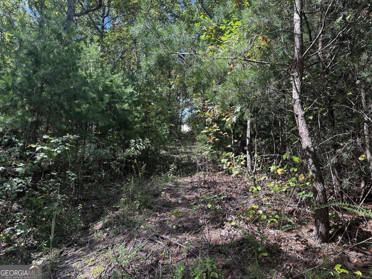 246 Andes Ridge Jasper, GA 30143 - Photo 28 of 36