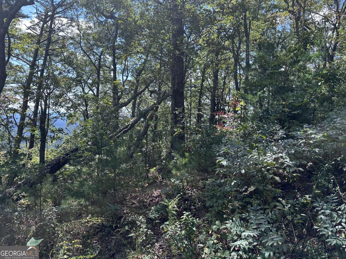 246 Andes Ridge Jasper, GA 30143 - Photo 30 of 36