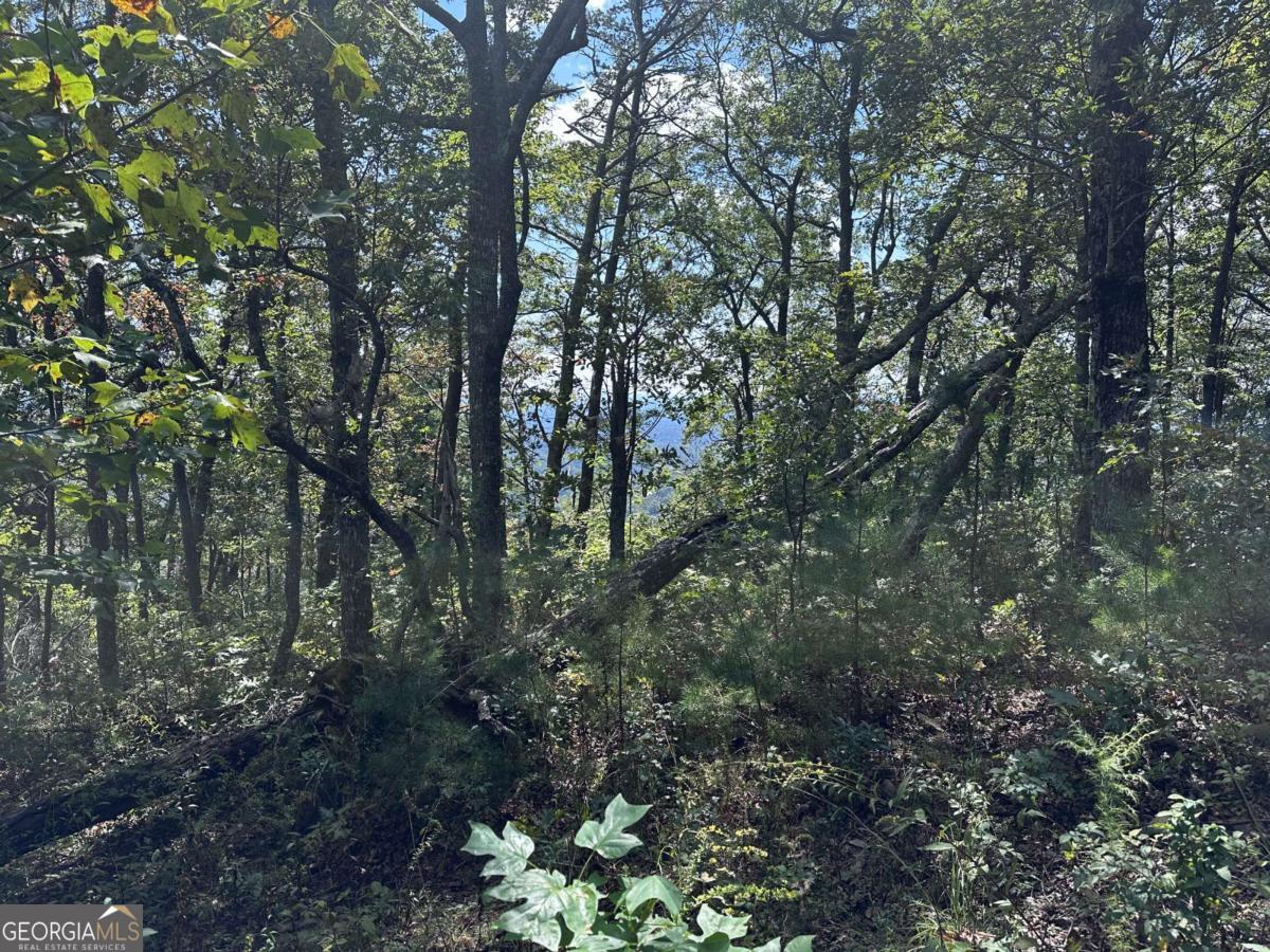 246 Andes Ridge Jasper, GA 30143 - Photo 31 of 36