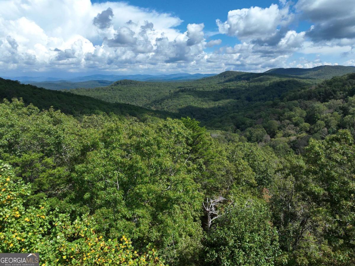 246 Andes Ridge Jasper, GA 30143 - Photo 32 of 36