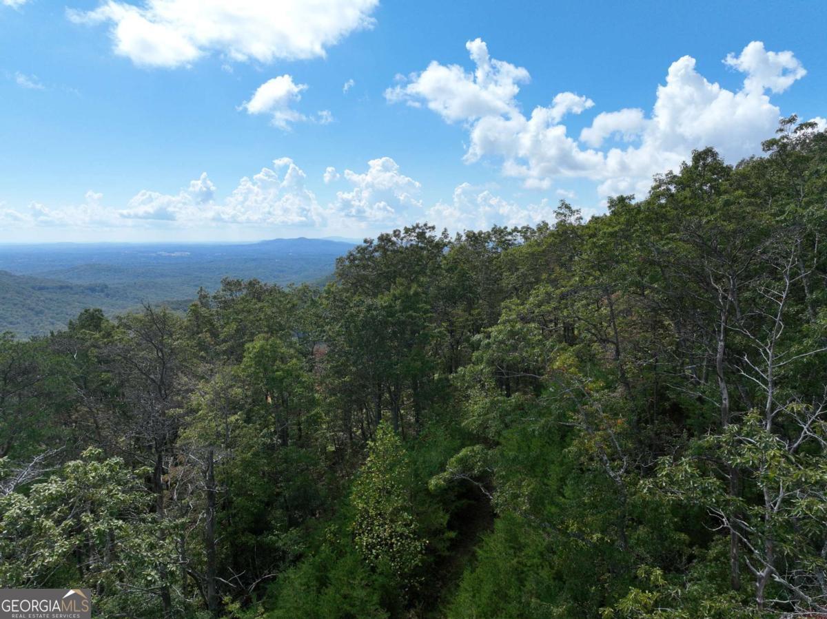 246 Andes Ridge Jasper, GA 30143 - Photo 33 of 36