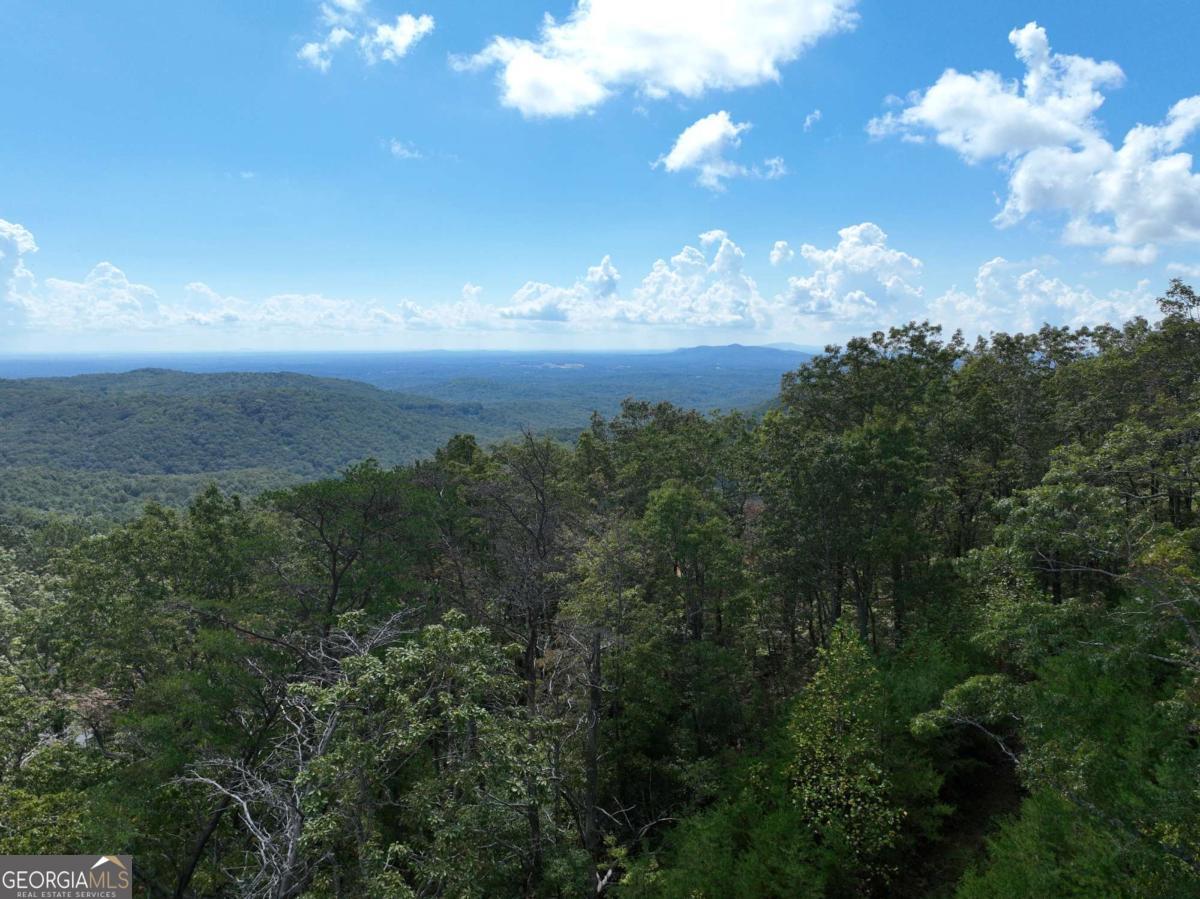 246 Andes Ridge Jasper, GA 30143 - Photo 35 of 36