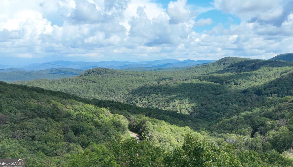 246 Andes Ridge Jasper, GA 30143 - Photo 9 of 36