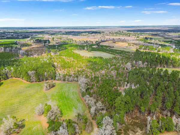 $699,000 | Tbd Muddy Creek Road, Hemingway, SC 29554