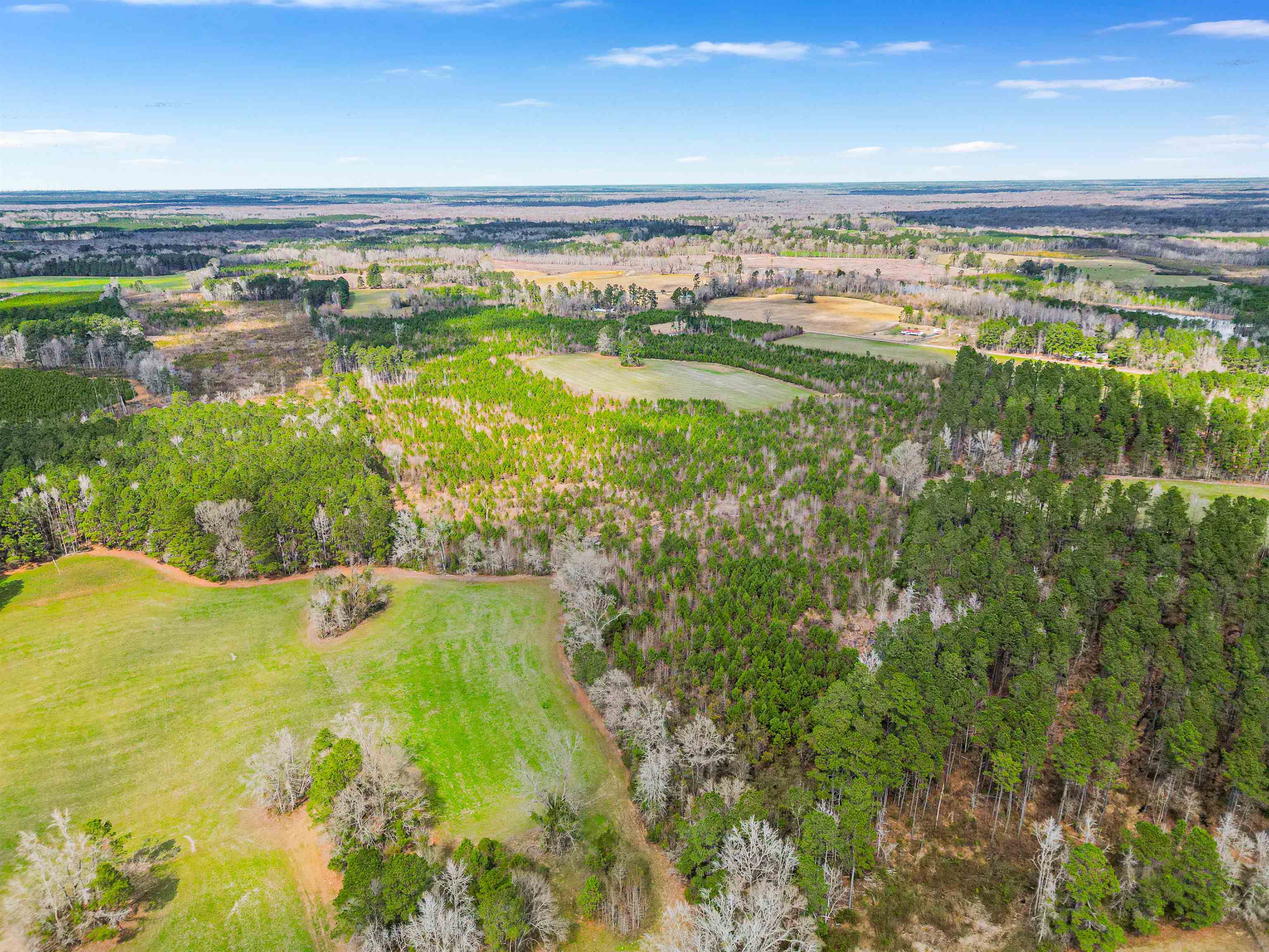 Tbd Muddy Creek Road Hemingway, SC 29554 - Photo 1 of 29
