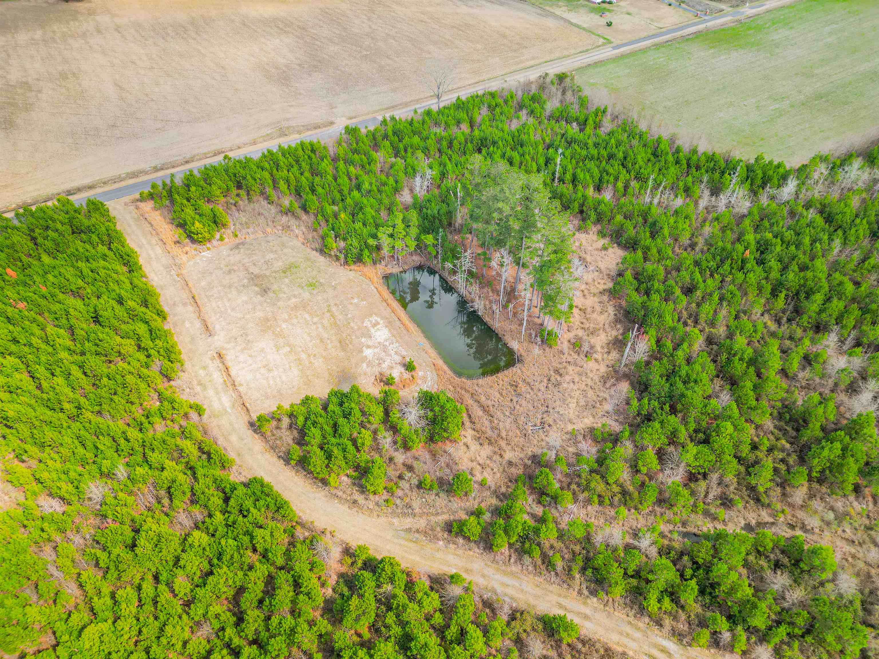 Tbd Muddy Creek Road Hemingway, SC 29554 - Photo 12 of 29