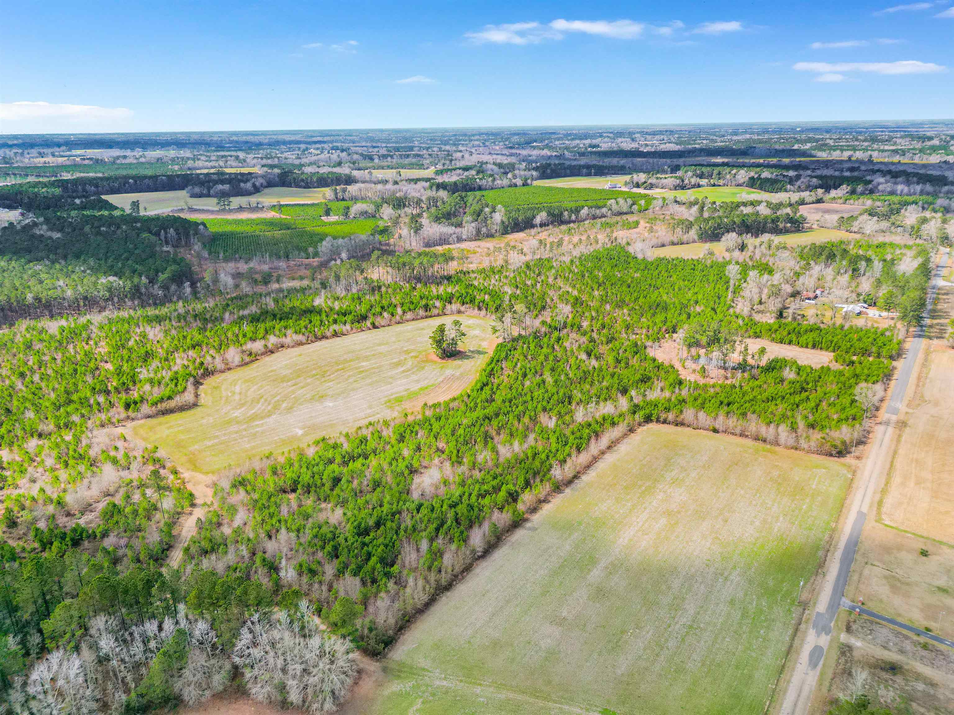 Tbd Muddy Creek Road Hemingway, SC 29554 - Photo 14 of 29