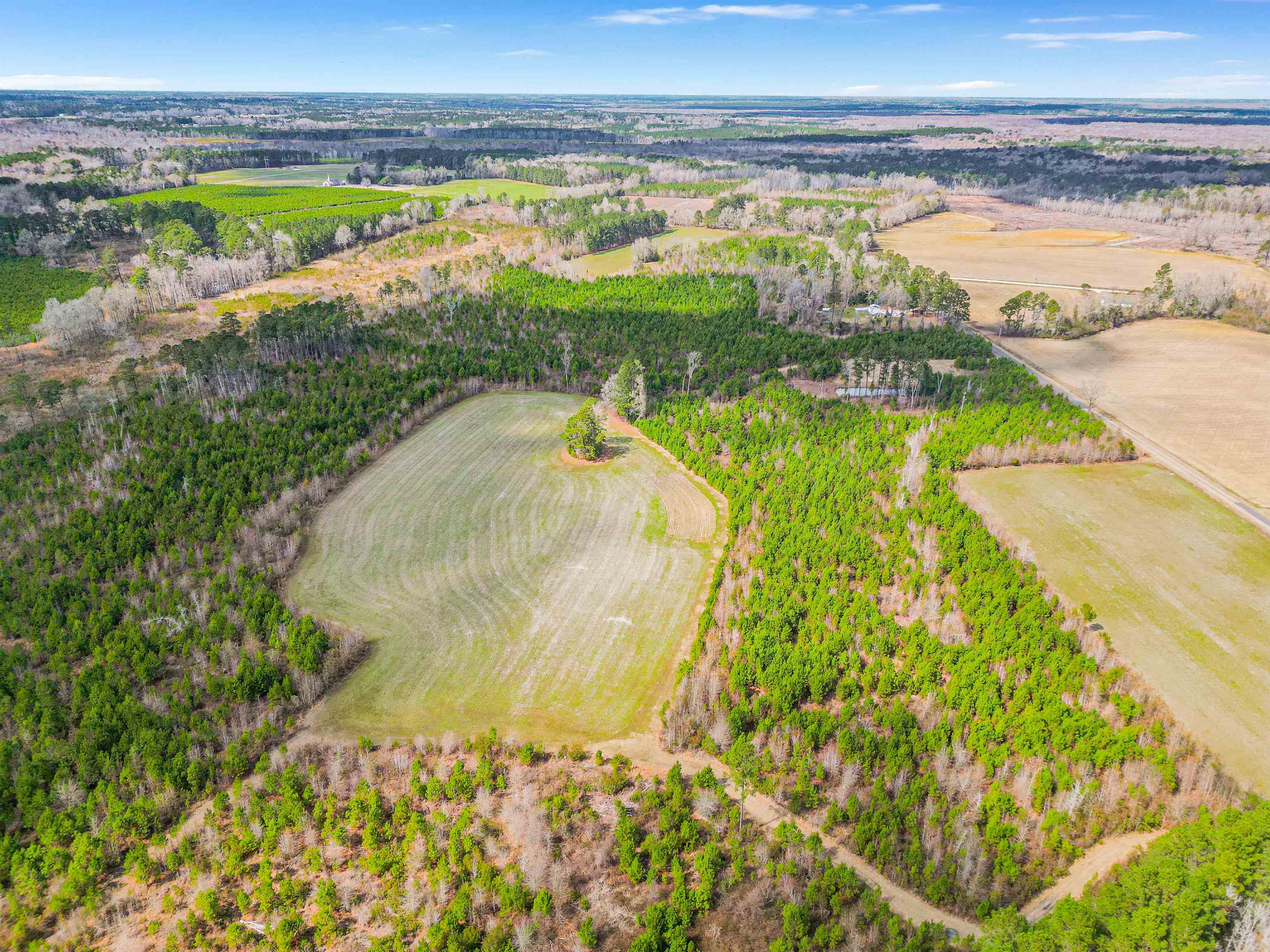 Tbd Muddy Creek Road Hemingway, SC 29554 - Photo 15 of 29