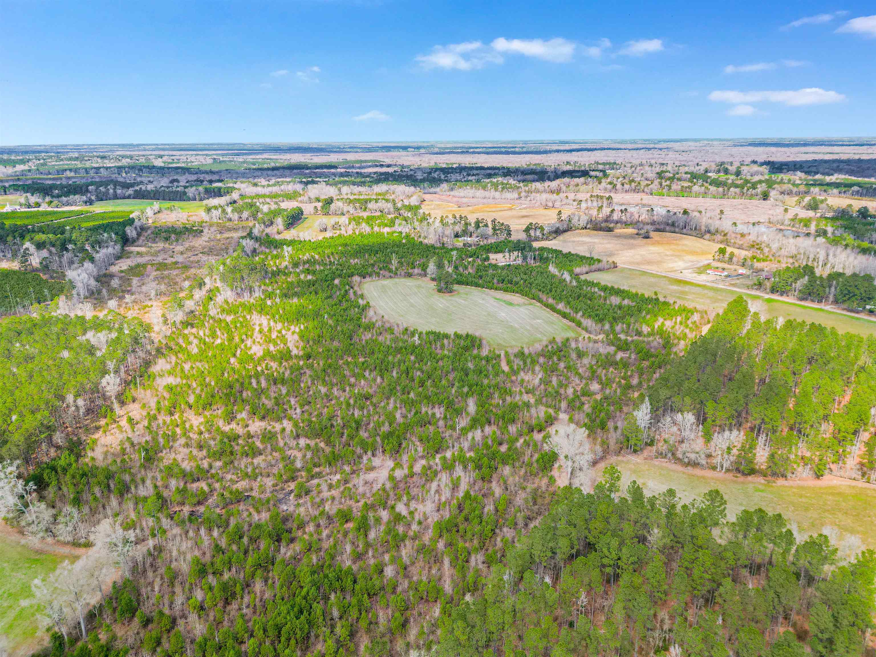 Tbd Muddy Creek Road Hemingway, SC 29554 - Photo 16 of 29