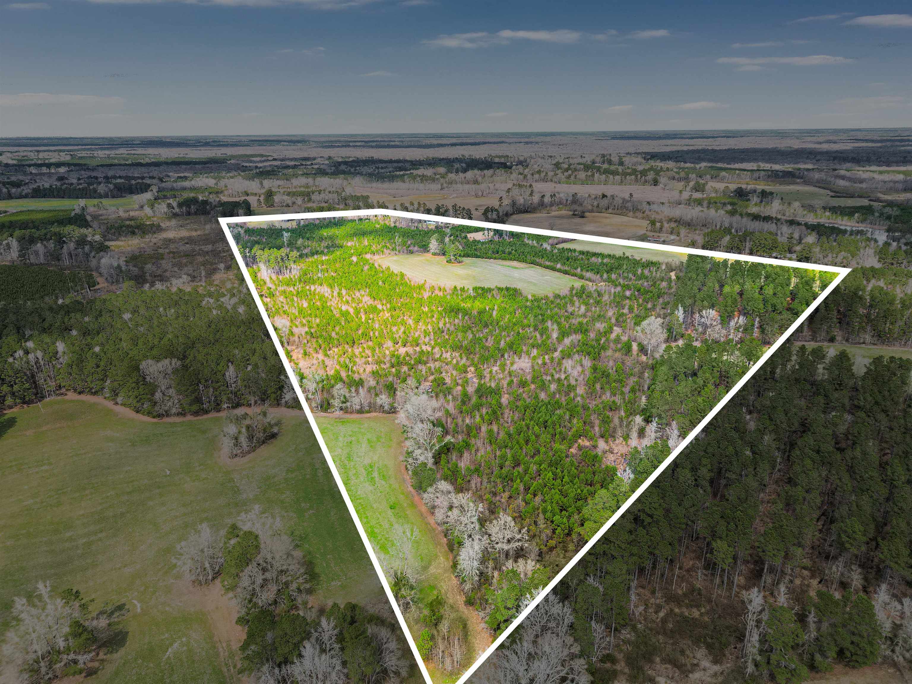 Tbd Muddy Creek Road Hemingway, SC 29554 - Photo 17 of 29