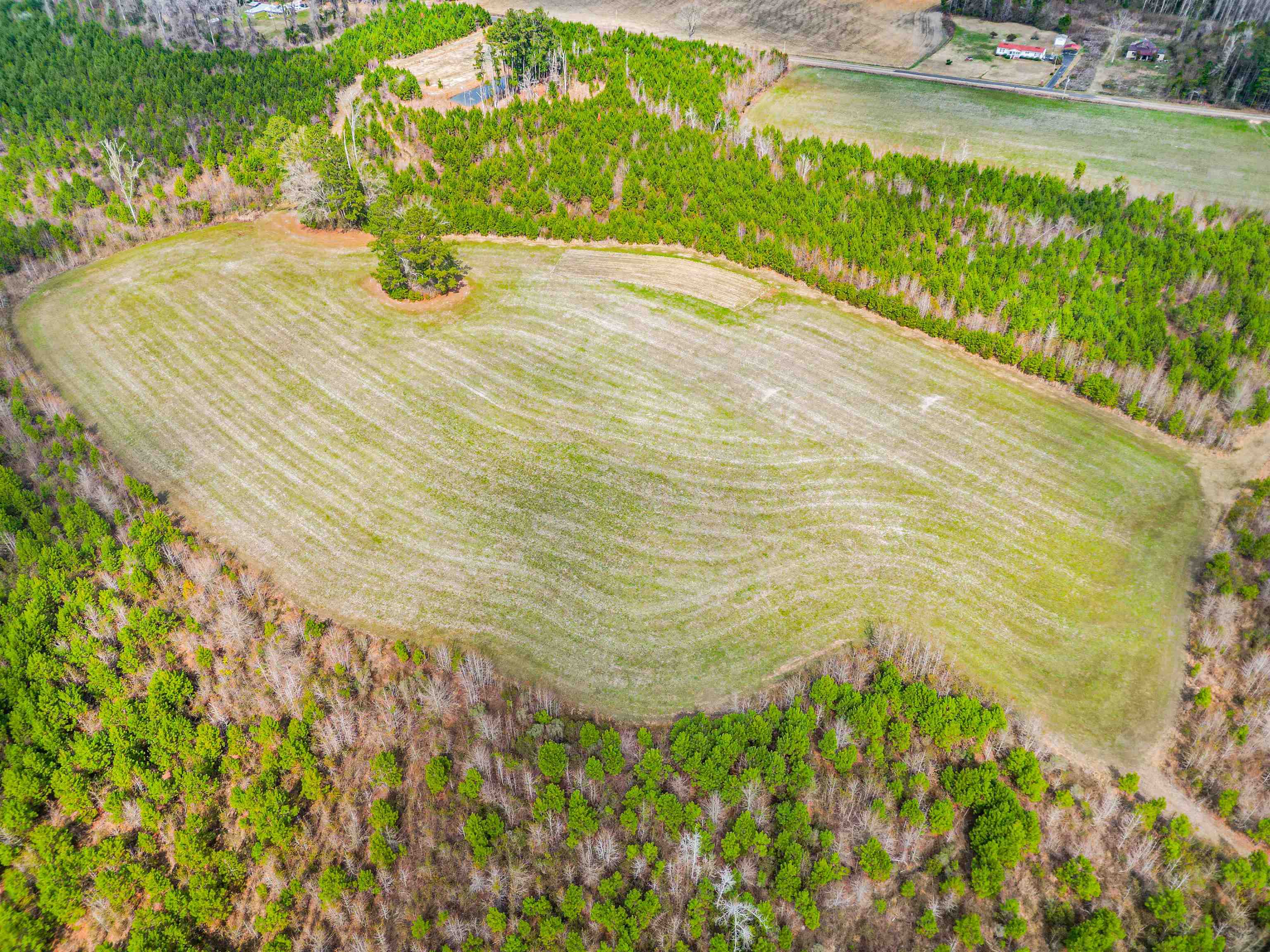 Tbd Muddy Creek Road Hemingway, SC 29554 - Photo 18 of 29