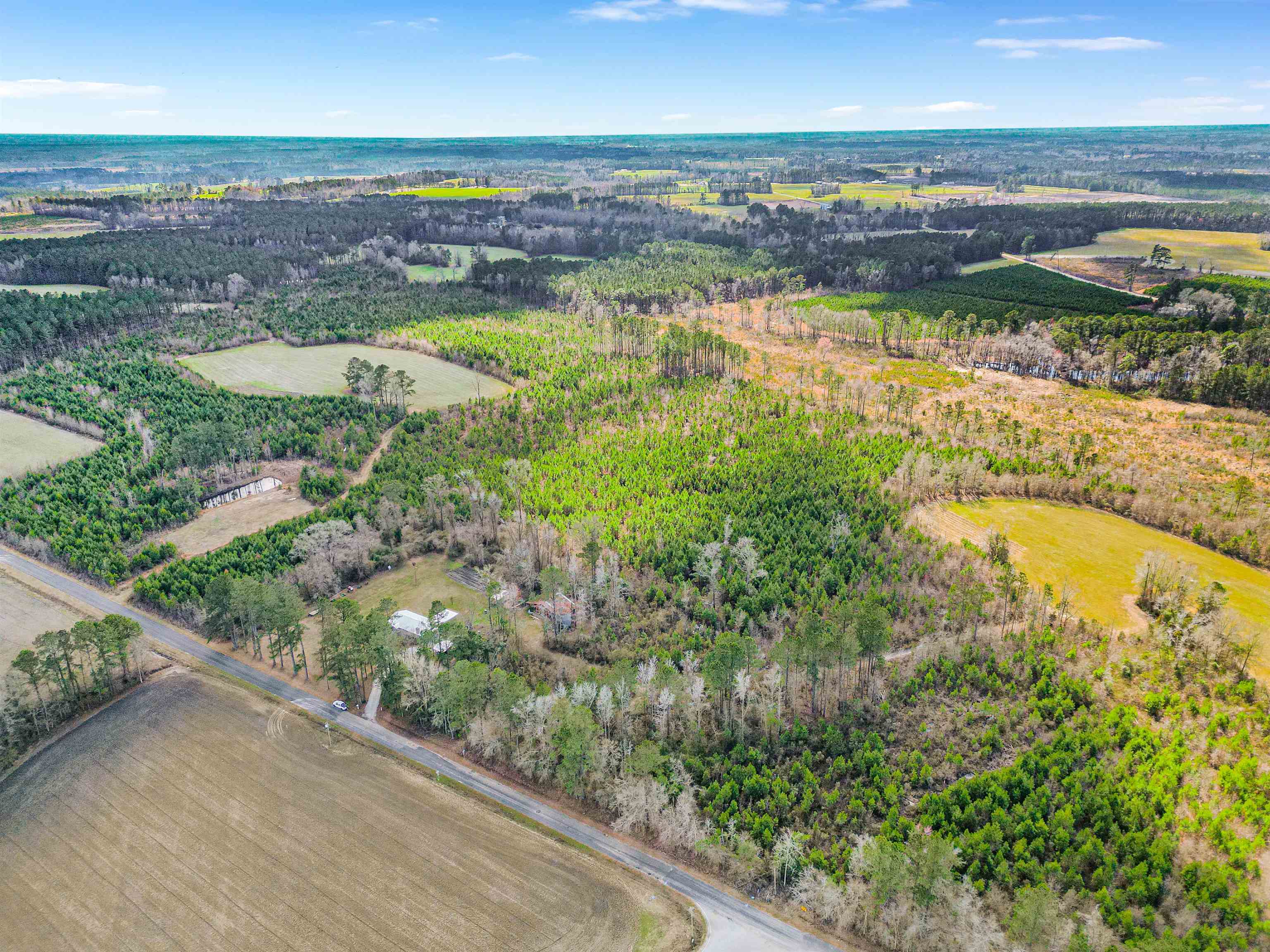 Tbd Muddy Creek Road Hemingway, SC 29554 - Photo 2 of 29