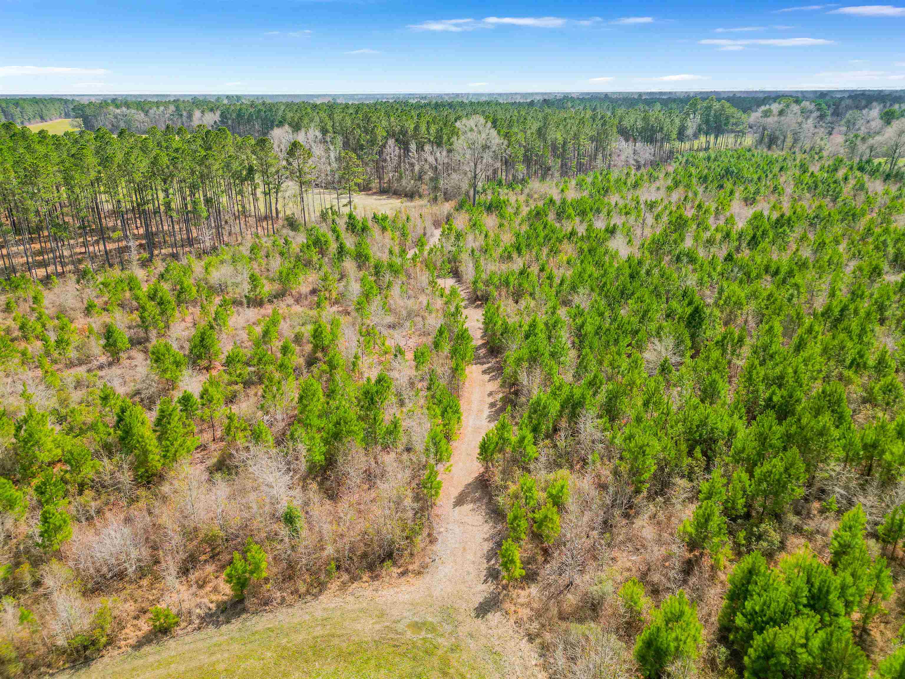 Tbd Muddy Creek Road Hemingway, SC 29554 - Photo 24 of 29