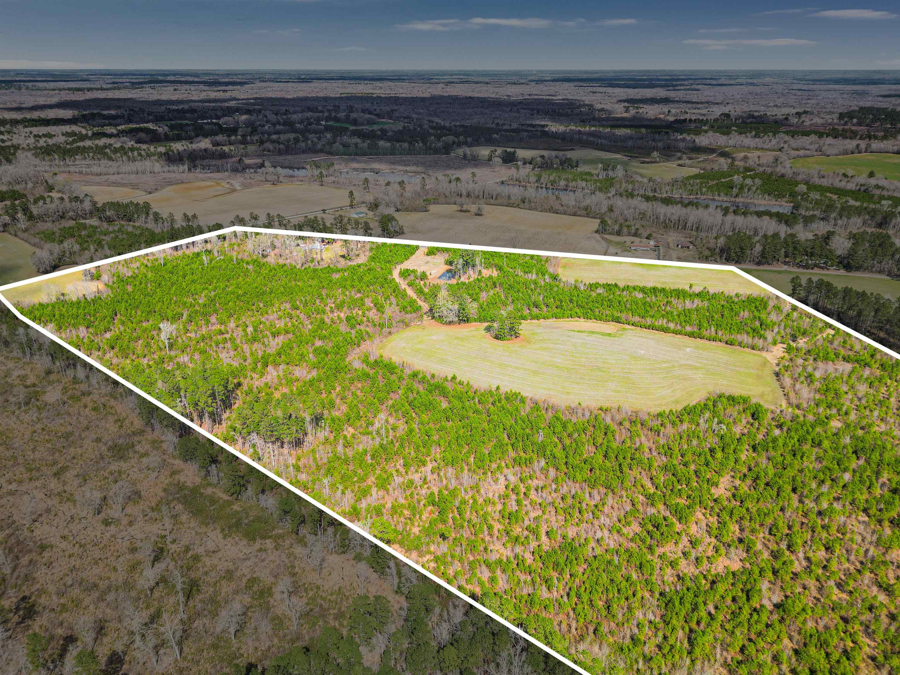 Tbd Muddy Creek Road Hemingway, SC 29554 - Photo 25 of 29