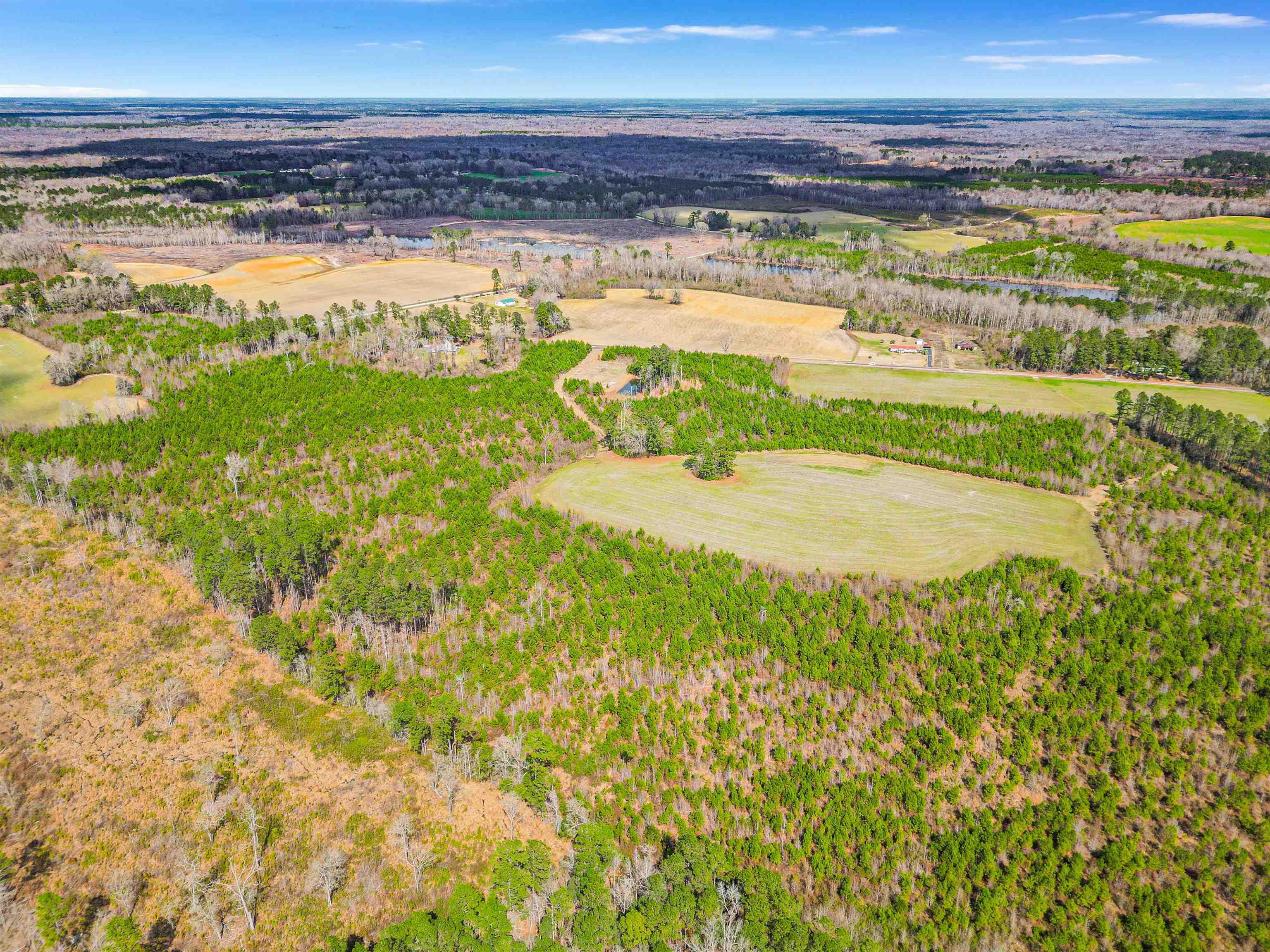 Tbd Muddy Creek Road Hemingway, SC 29554 - Photo 26 of 29