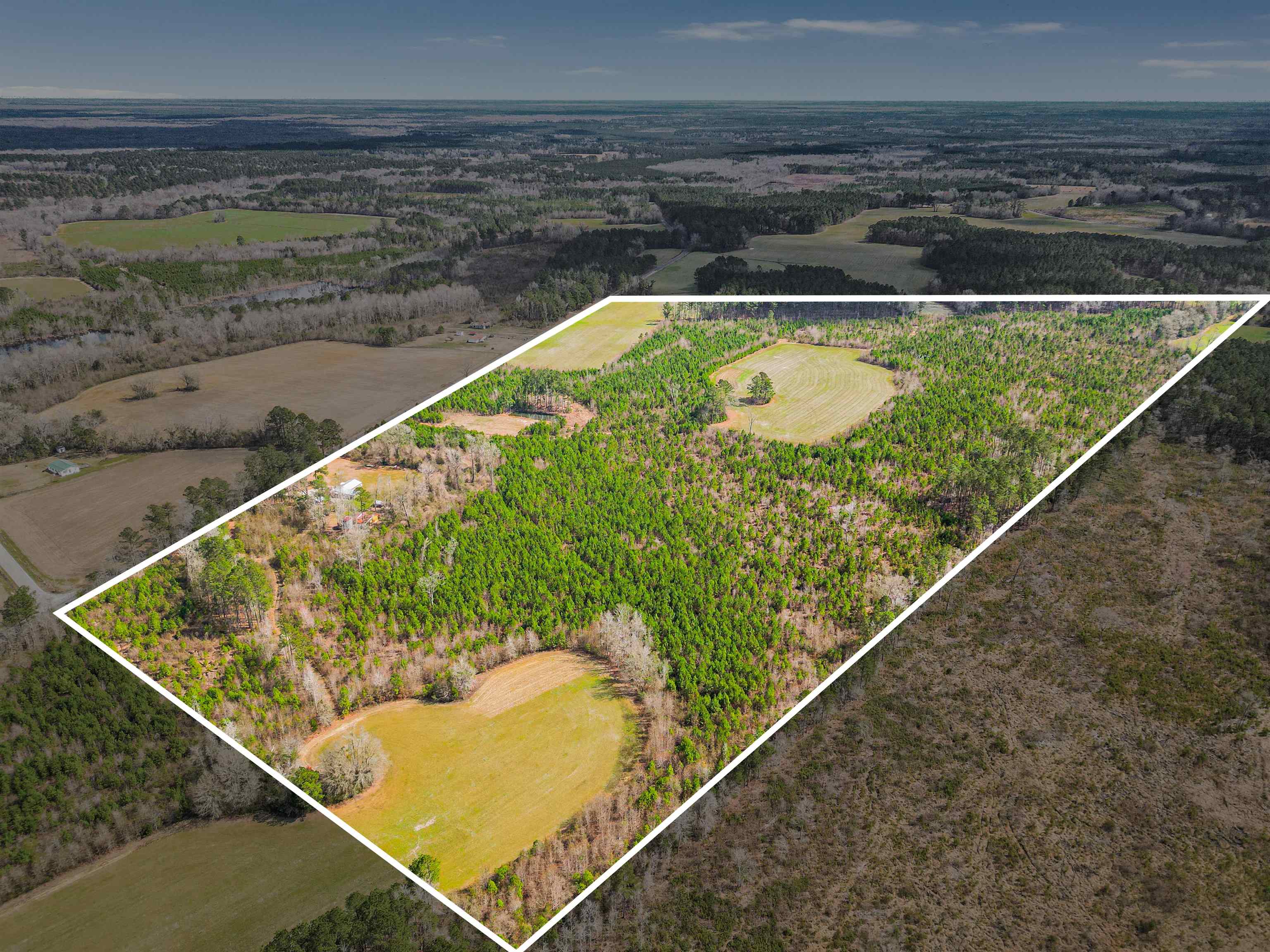 Tbd Muddy Creek Road Hemingway, SC 29554 - Photo 27 of 29