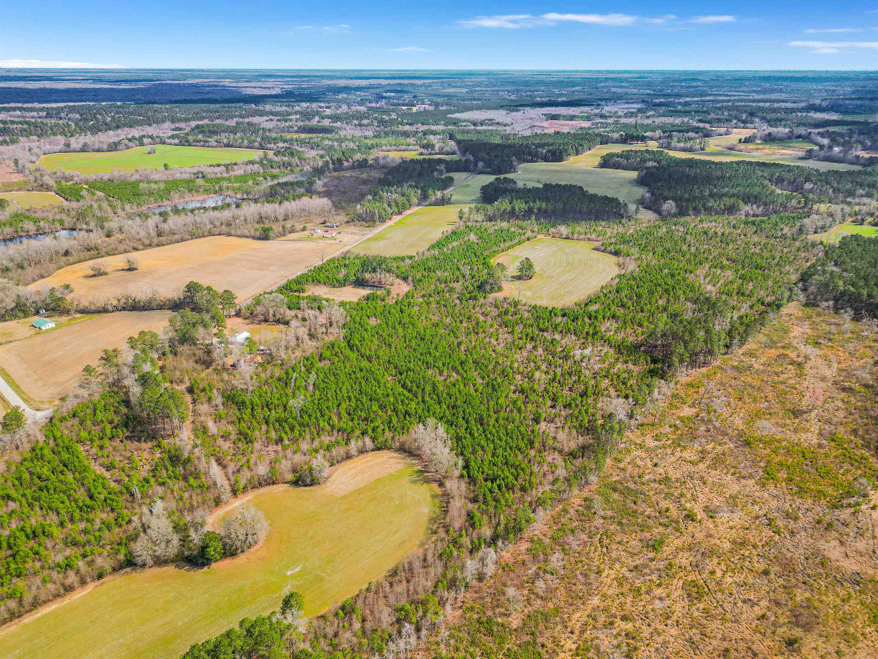 Tbd Muddy Creek Road Hemingway, SC 29554 - Photo 28 of 29