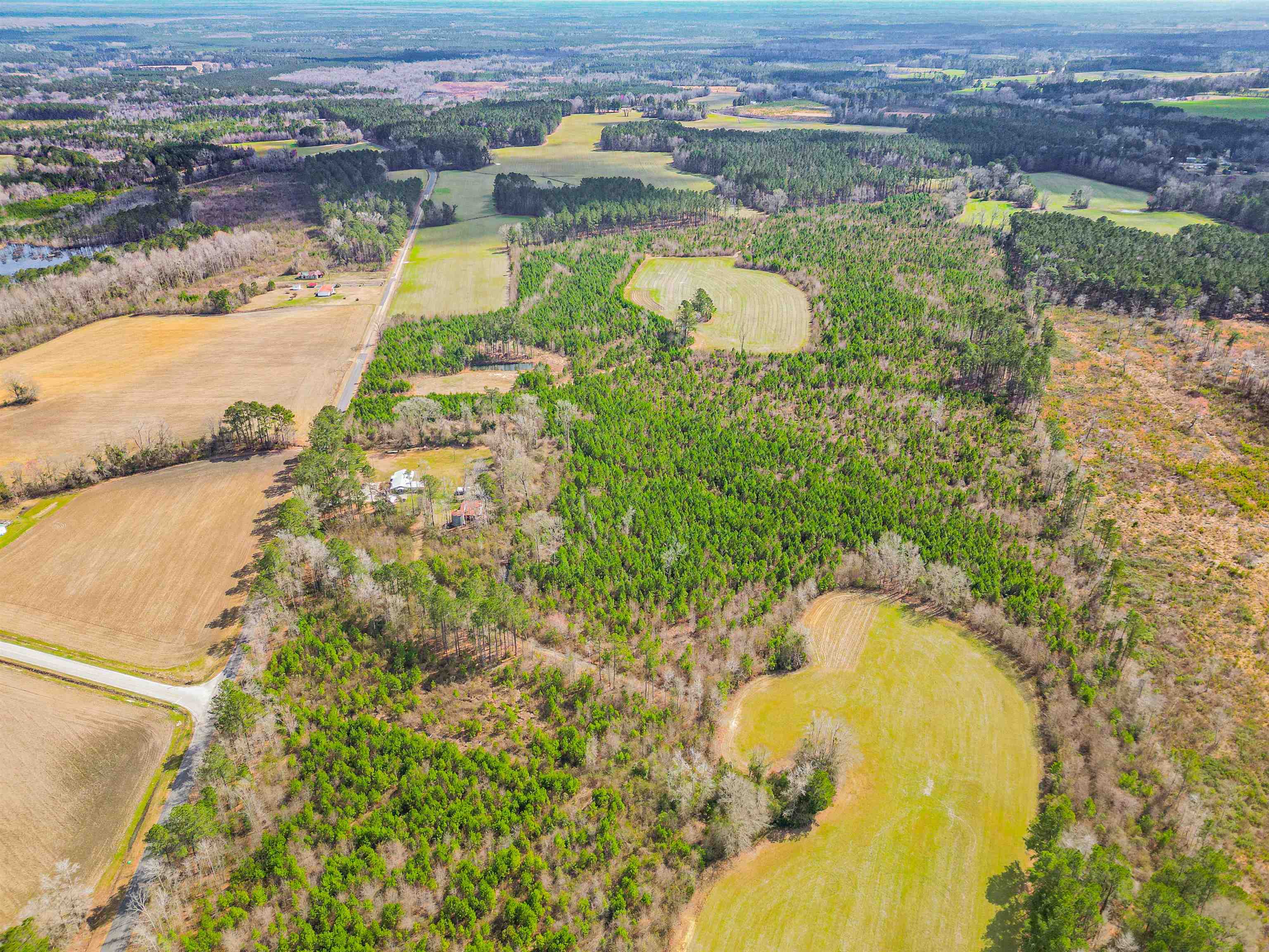 Tbd Muddy Creek Road Hemingway, SC 29554 - Photo 29 of 29