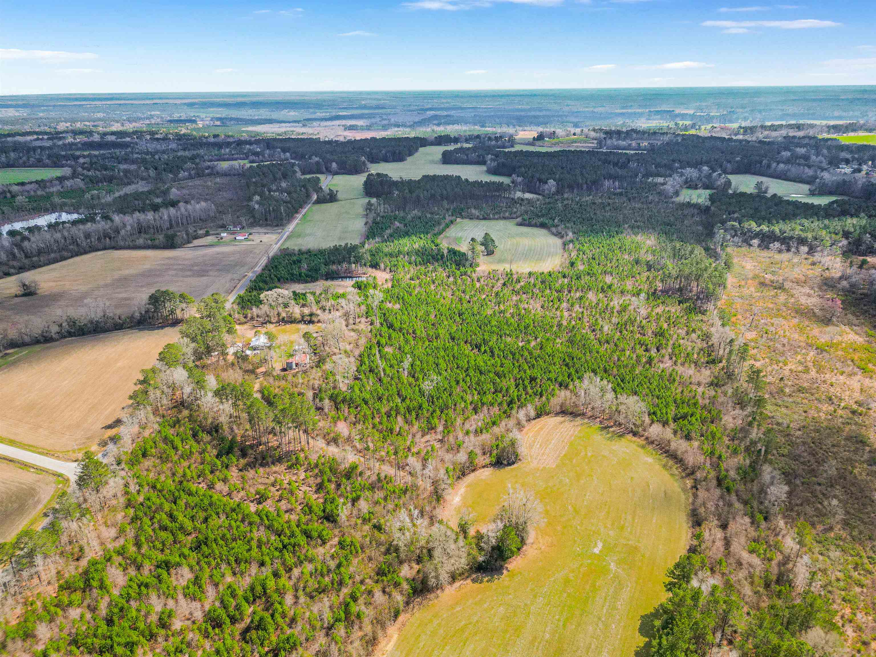 Tbd Muddy Creek Road Hemingway, SC 29554 - Photo 3 of 29