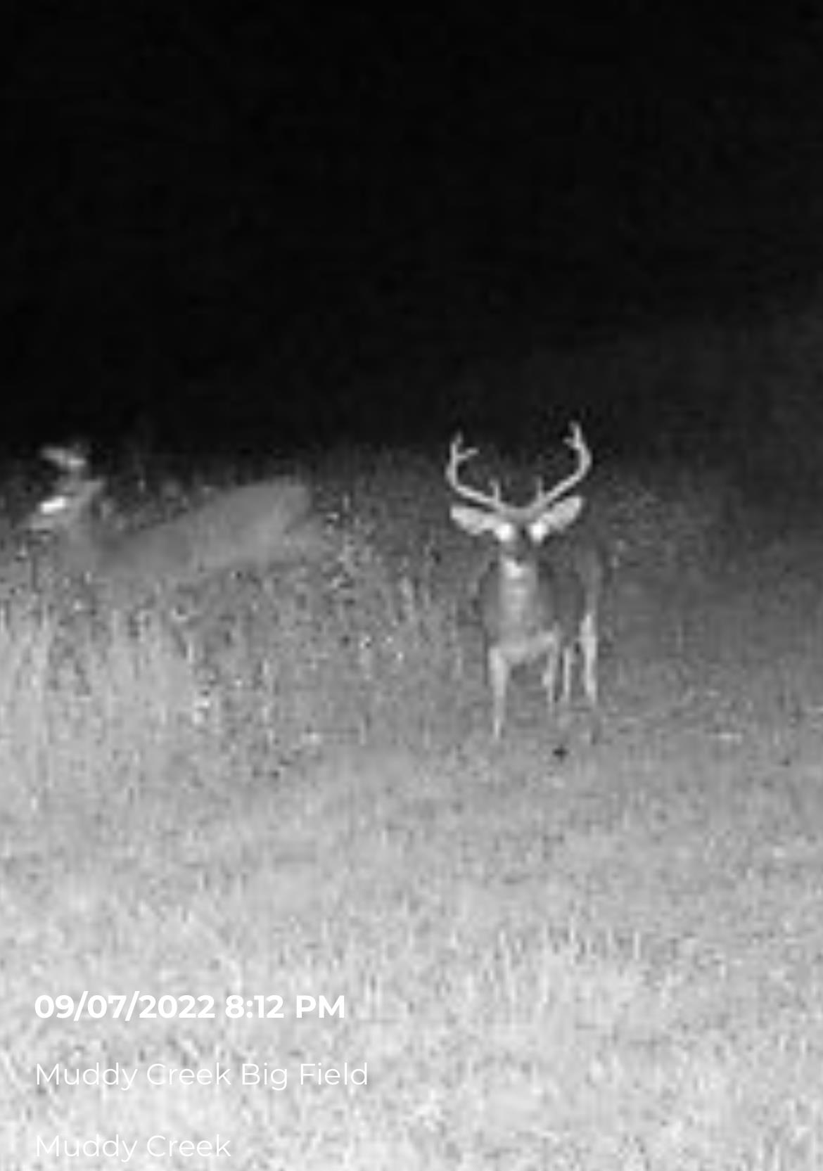 Tbd Muddy Creek Road Hemingway, SC 29554 - Photo 7 of 29