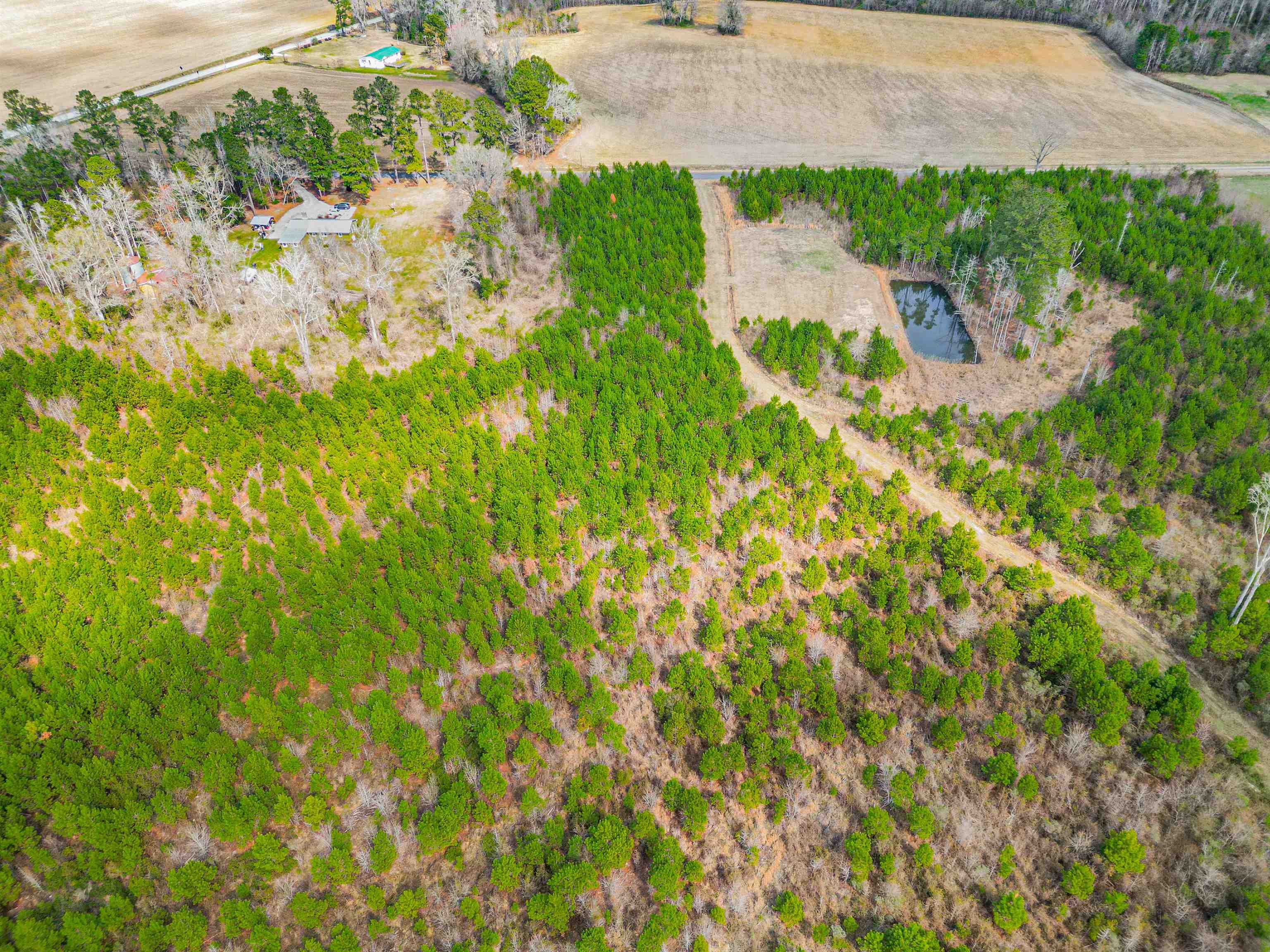 Tbd Muddy Creek Road Hemingway, SC 29554 - Photo 10 of 29