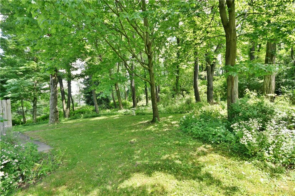 2437 Lytle Road Bethel Park, PA 15102 - Photo 24 of 25 This back yard is fantastic and treed for extreme privacy.