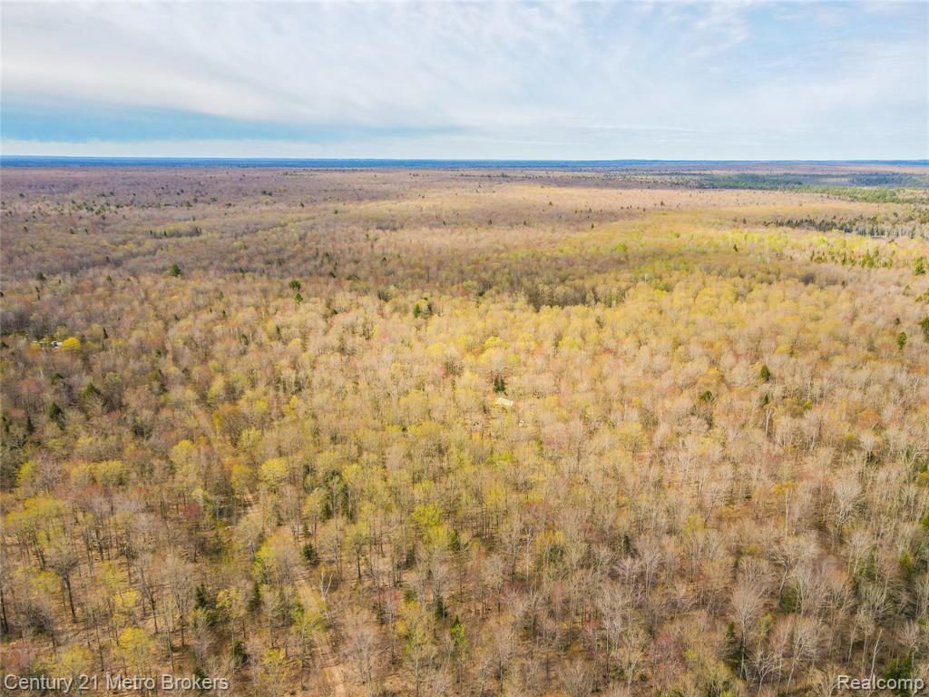 21821 Krenkel Road Newberry, MI 49868 - Photo 25 of 28