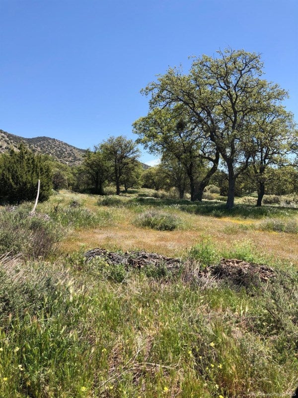 0 Walker Basin Road Caliente, CA 93518 - Photo 2 of 10 Gallery Image 2