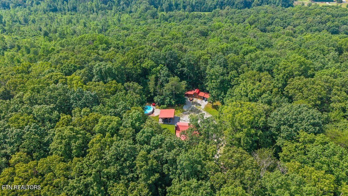63 County Road 100 Decatur, TN 37322 - Photo 13 of 46 a backyard of a house with lots of green space and view