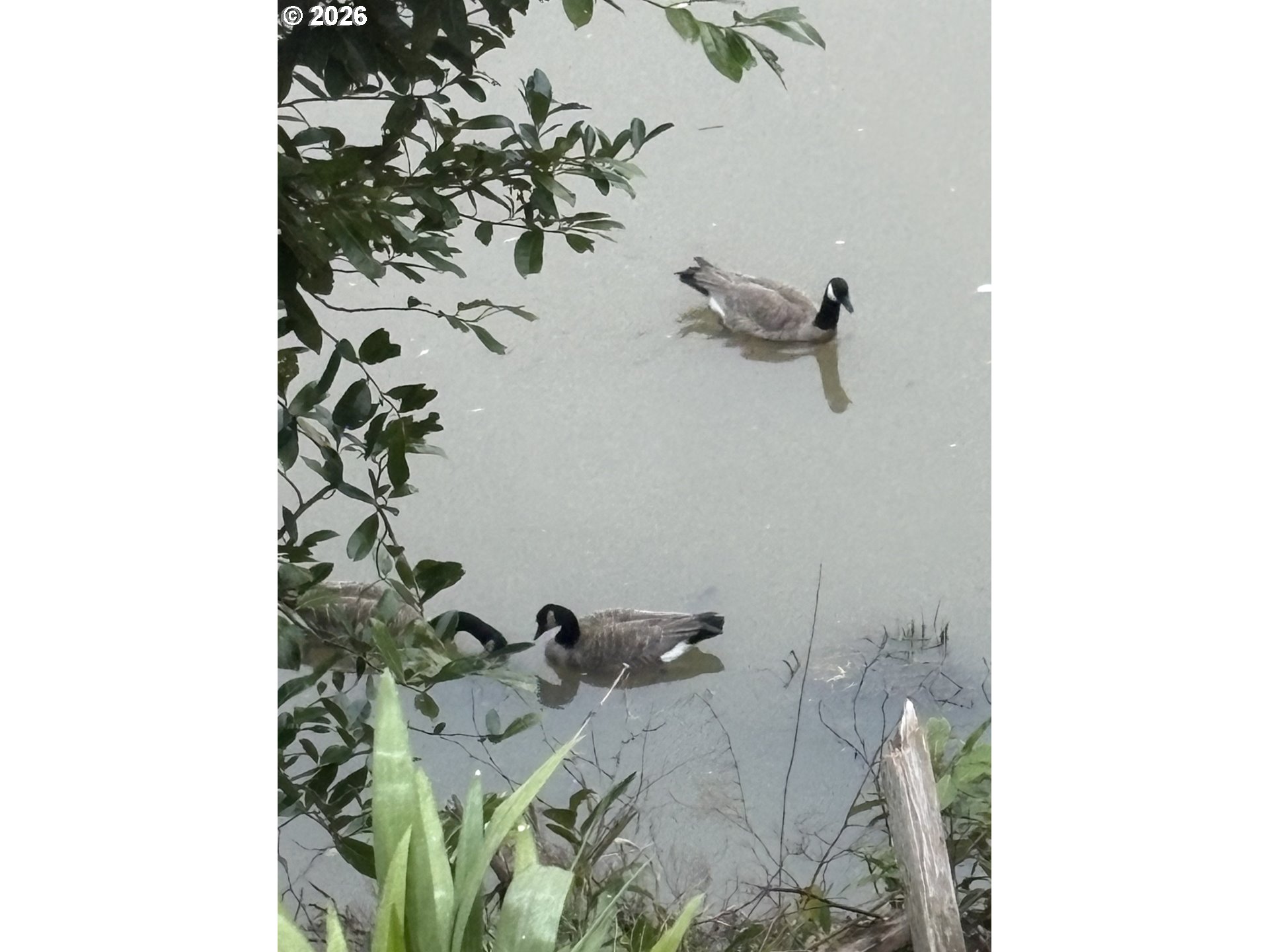 856 Scottsburg Road West Scottsburg, OR 97473 - Photo 46 of 47