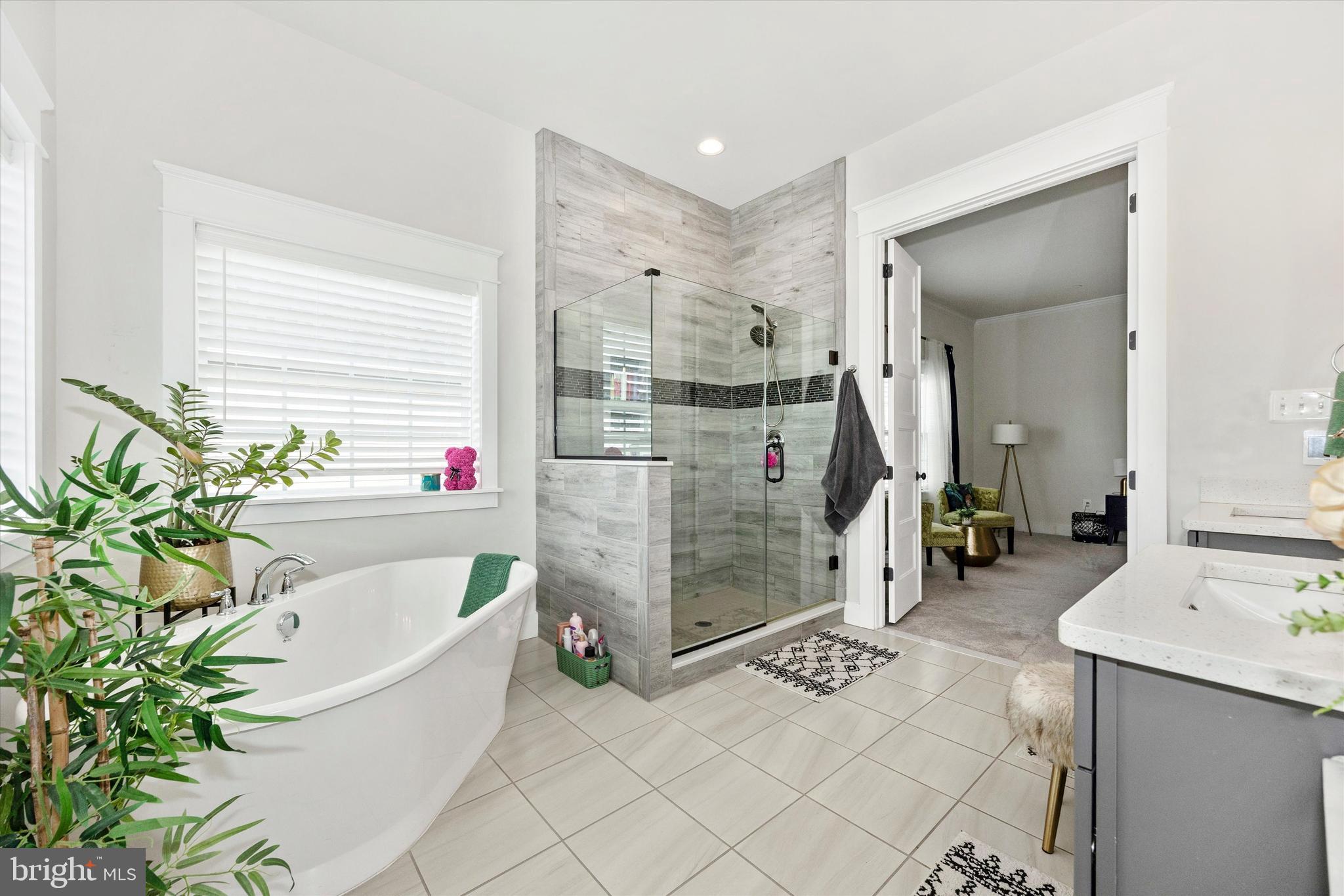 1694 Double Bank Road Frederick, MD 21702 - Photo 25 of 79 a bathroom with a tub shower and mirror