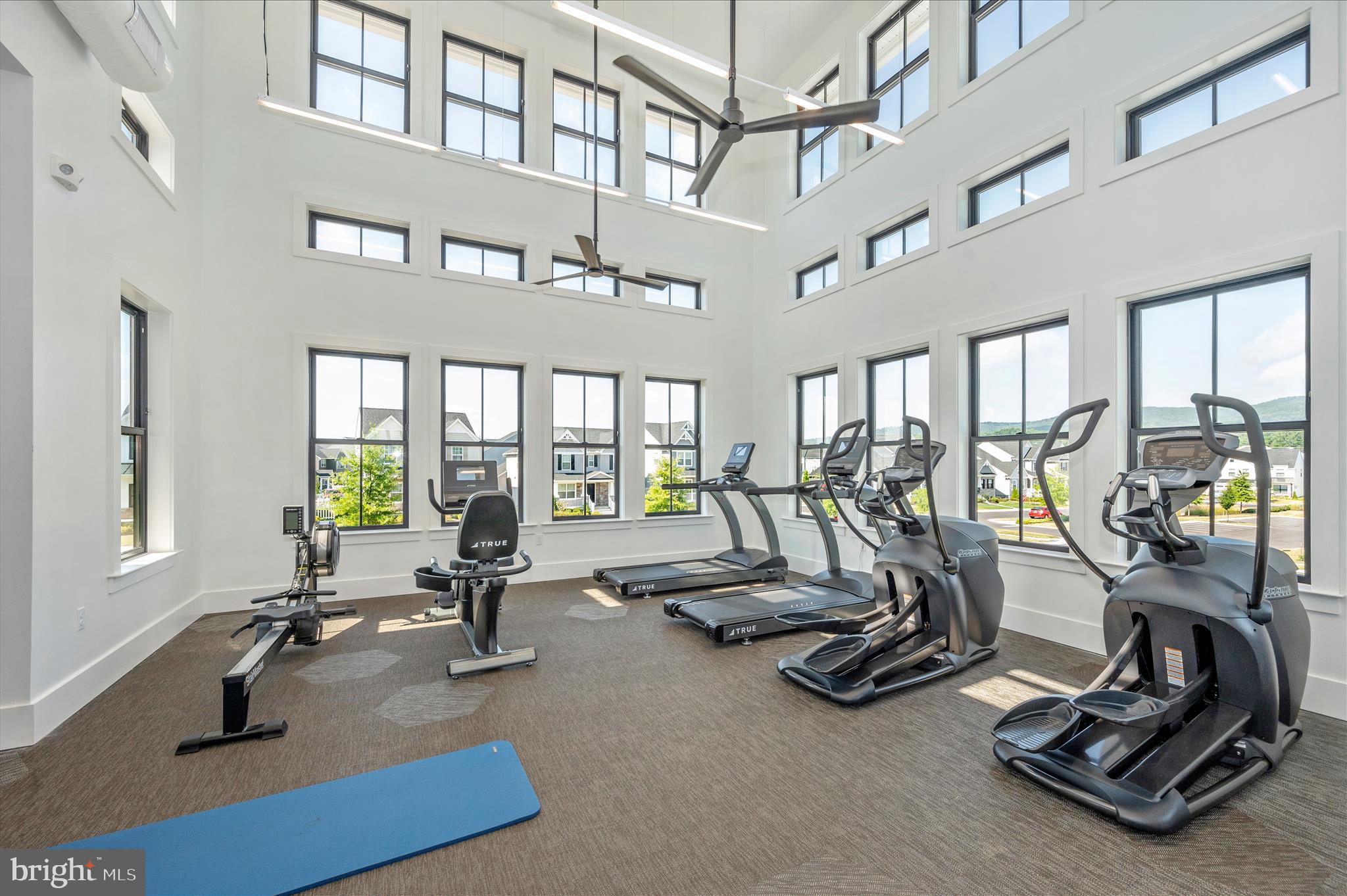1694 Double Bank Road Frederick, MD 21702 - Photo 70 of 79 a view of a room with gym equipment
