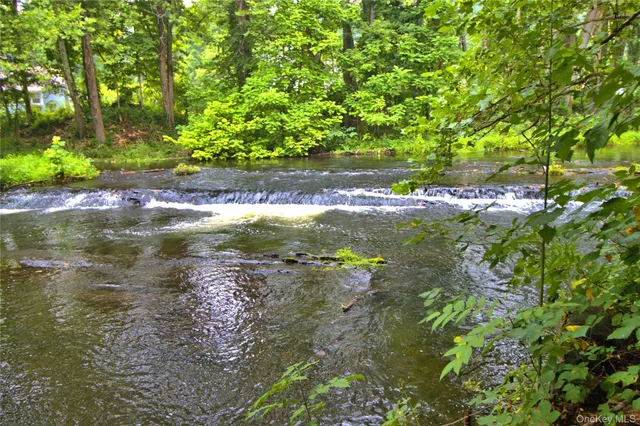 a view of a lake with a tree